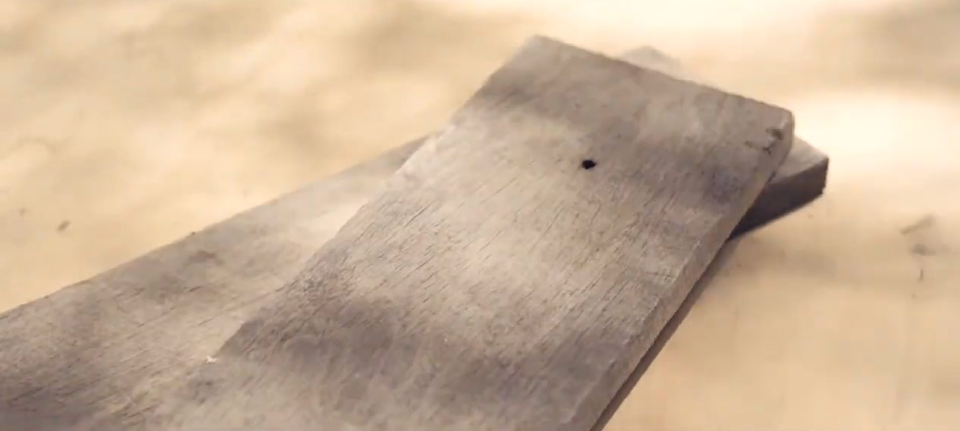 What is the Best Wood for a Skateboard Deck? (Guide)